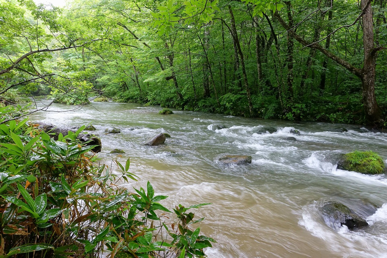 Oirase Stream: Um Paraíso Natural no Japão - Towada | Secret World Trip Planner