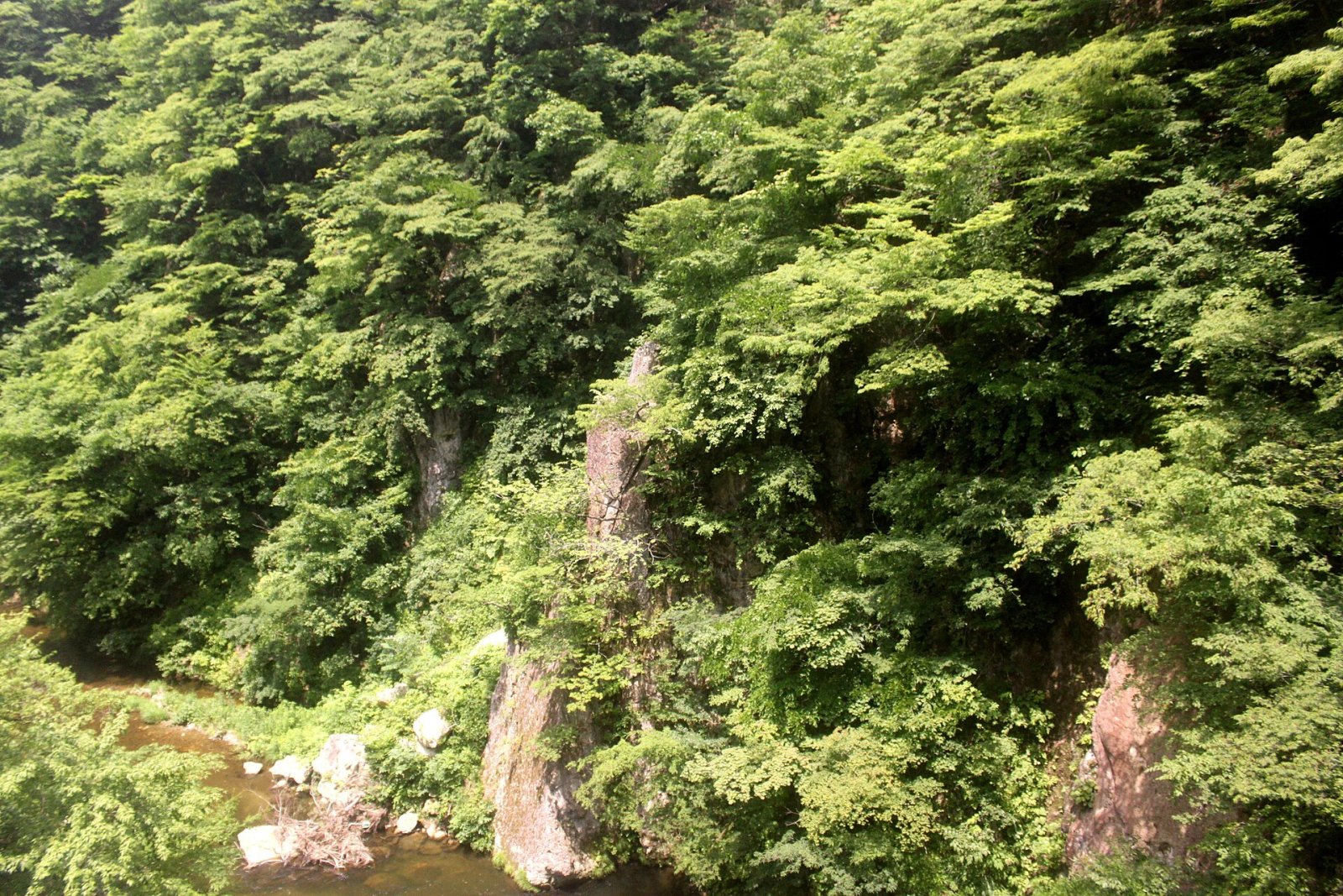 Découvrez la beauté naturelle de la gorge de Naruko au Japon - Ōsaki | Secret World Trip Planner