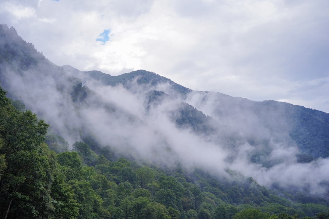 Entdecken Sie die Magie der Tateyama Kurobe Alpenroute in Japan - Tateyama | Secret World Trip Planner
