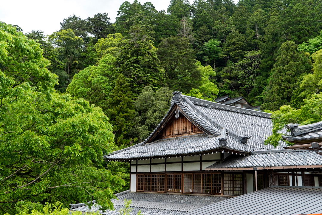 Scopri il Tempio di Kurama: un gioiello culturale di Kyoto - Kyoto | Secret World Trip Planner