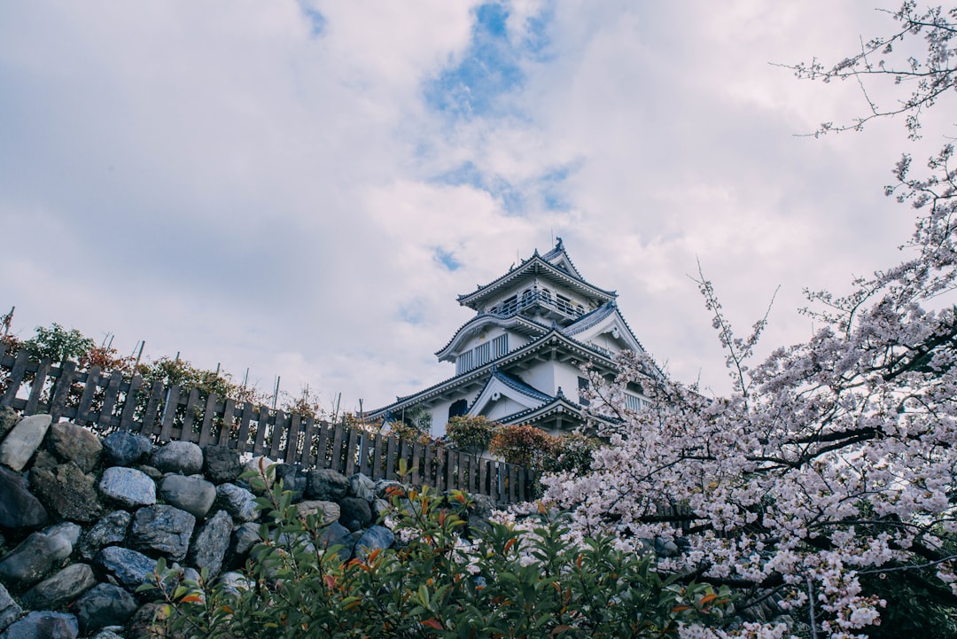 Discover the History and Beauty of Nagahama Castle - Nagahama | Secret World Trip Planner