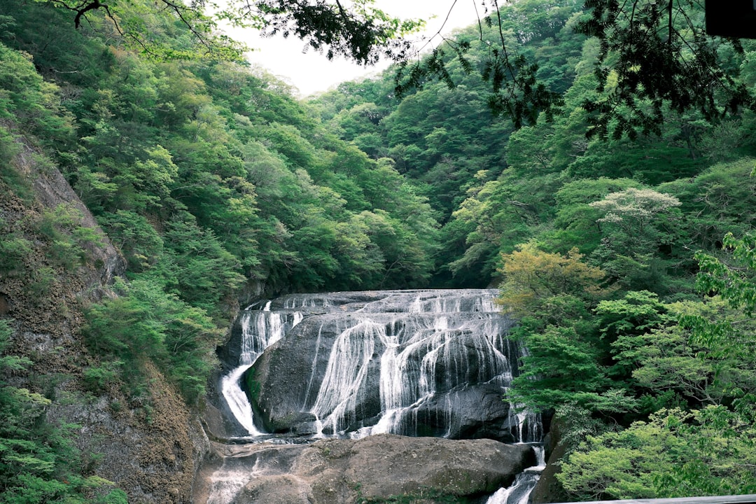 日本の箕面滝の素晴らしさを発見しよう - Minoh | Secret World Trip Planner