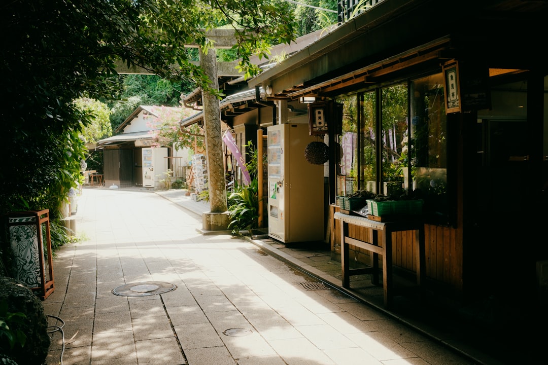 Discover the Magic of Ryugado Cave in Tosa, Shikoku - Konan | Secret World Trip Planner
