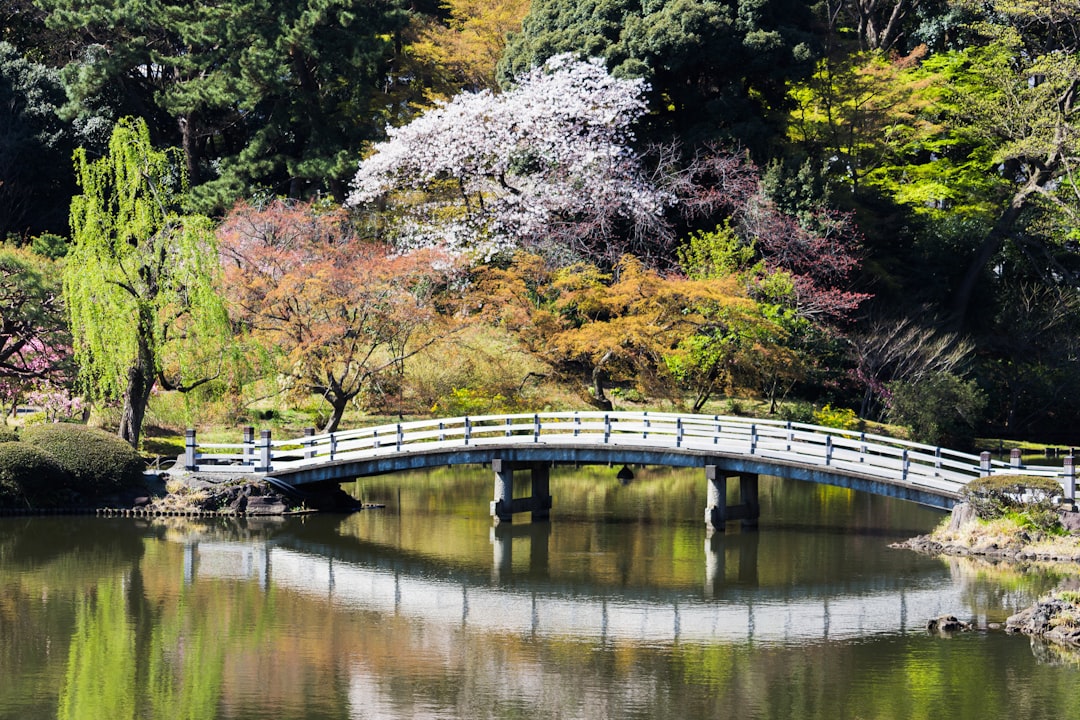 Découvrez Shinjuku Gyoen : un coin de nature à Tokyo - Shinjuku City | Secret World Trip Planner