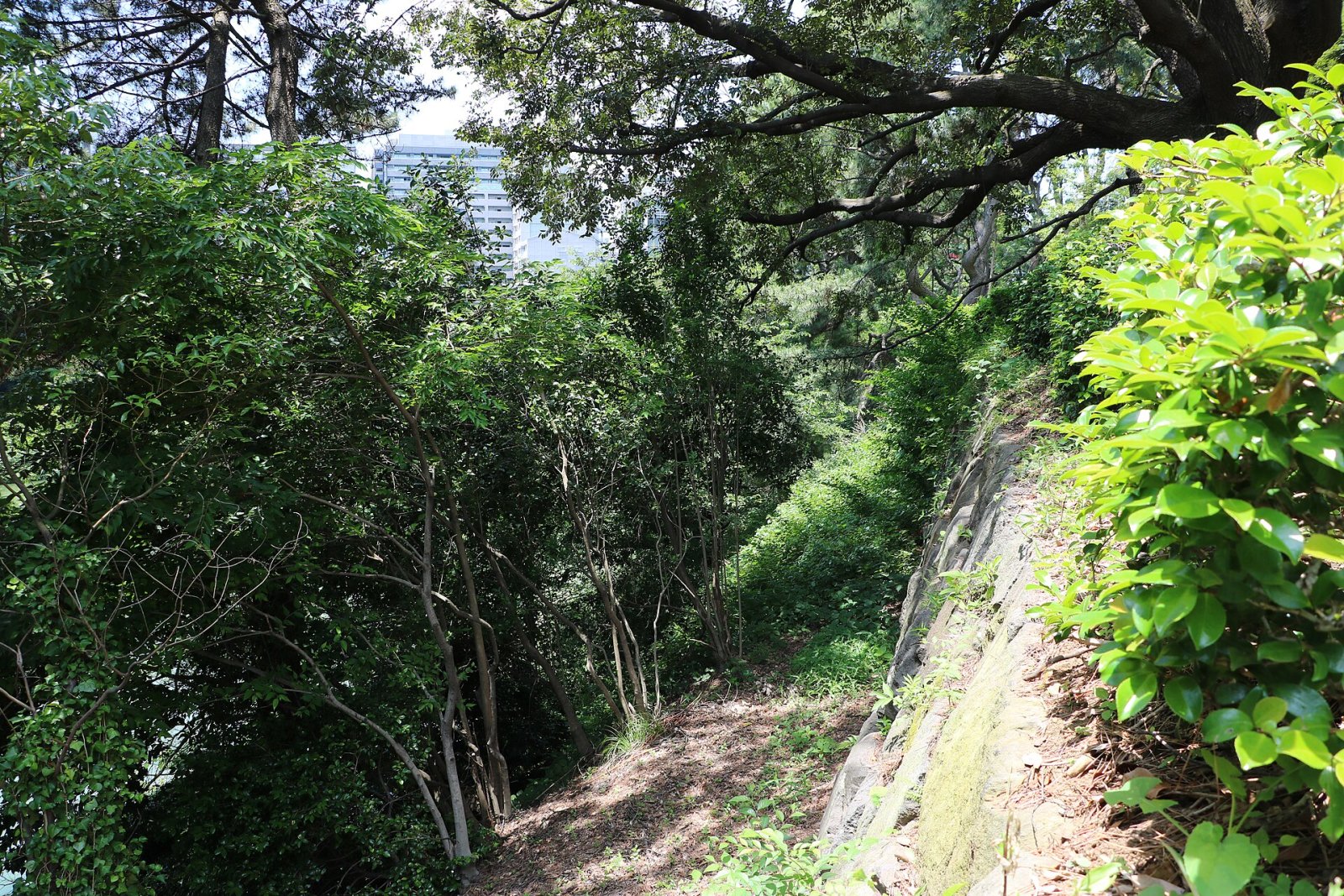 Edo Schlossruinen: Eine Reise in die Geschichte Tokios - Chiyoda City | Secret World Trip Planner