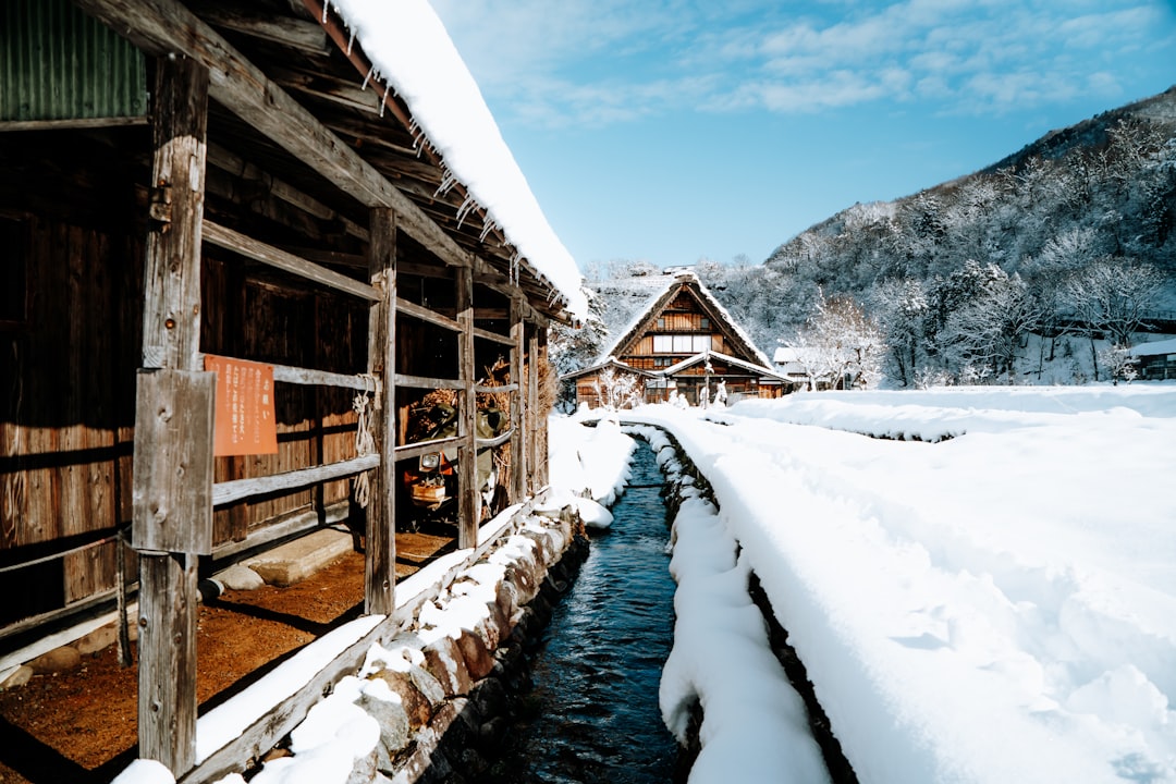 Descubra Shirakawa-go: Uma joia histórica no coração do Japão - Shirakawa | Secret World Trip Planner