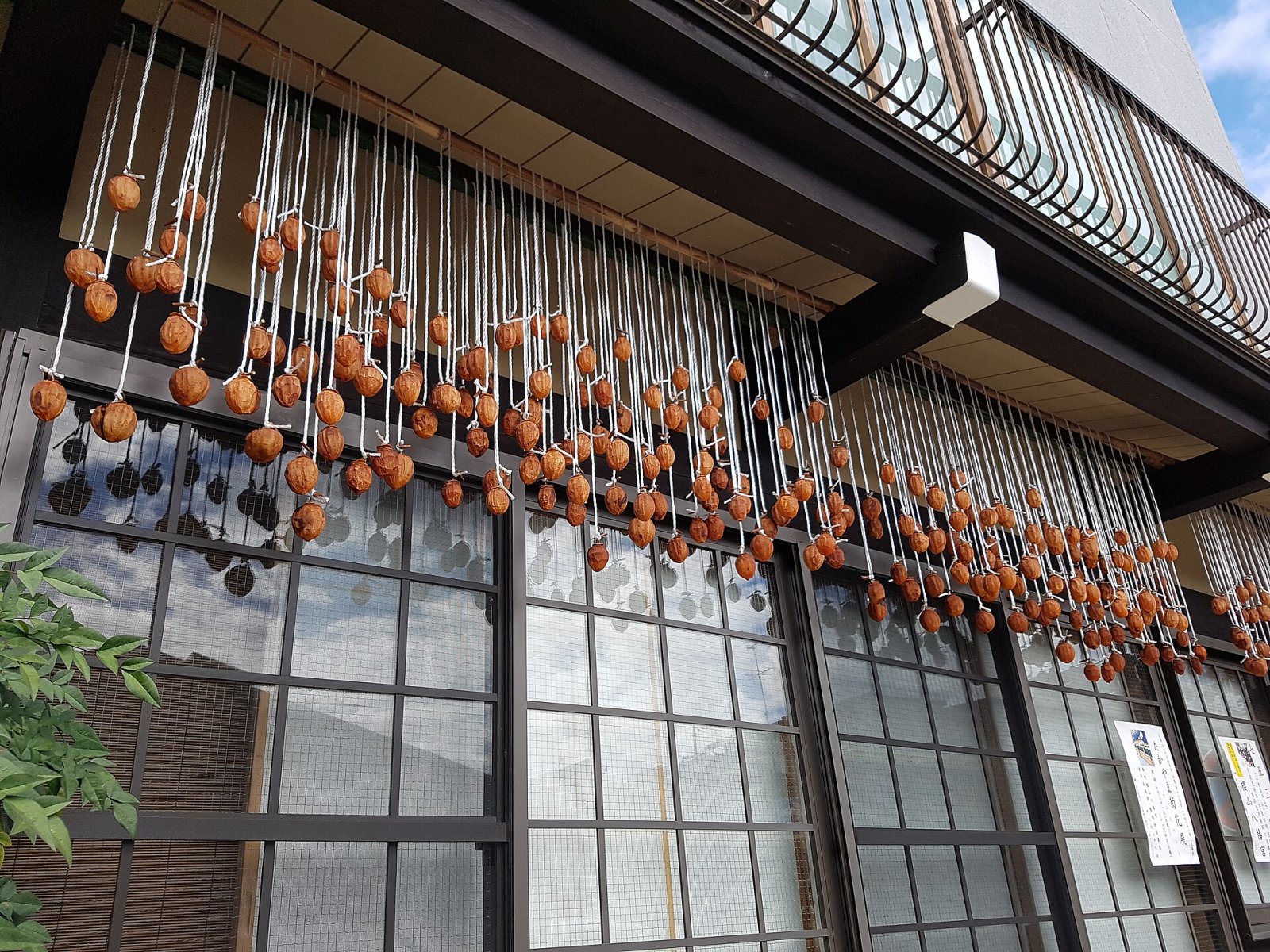 Discover Takayama Old Town: A Journey into Japanese History - Takayama | Secret World Trip Planner