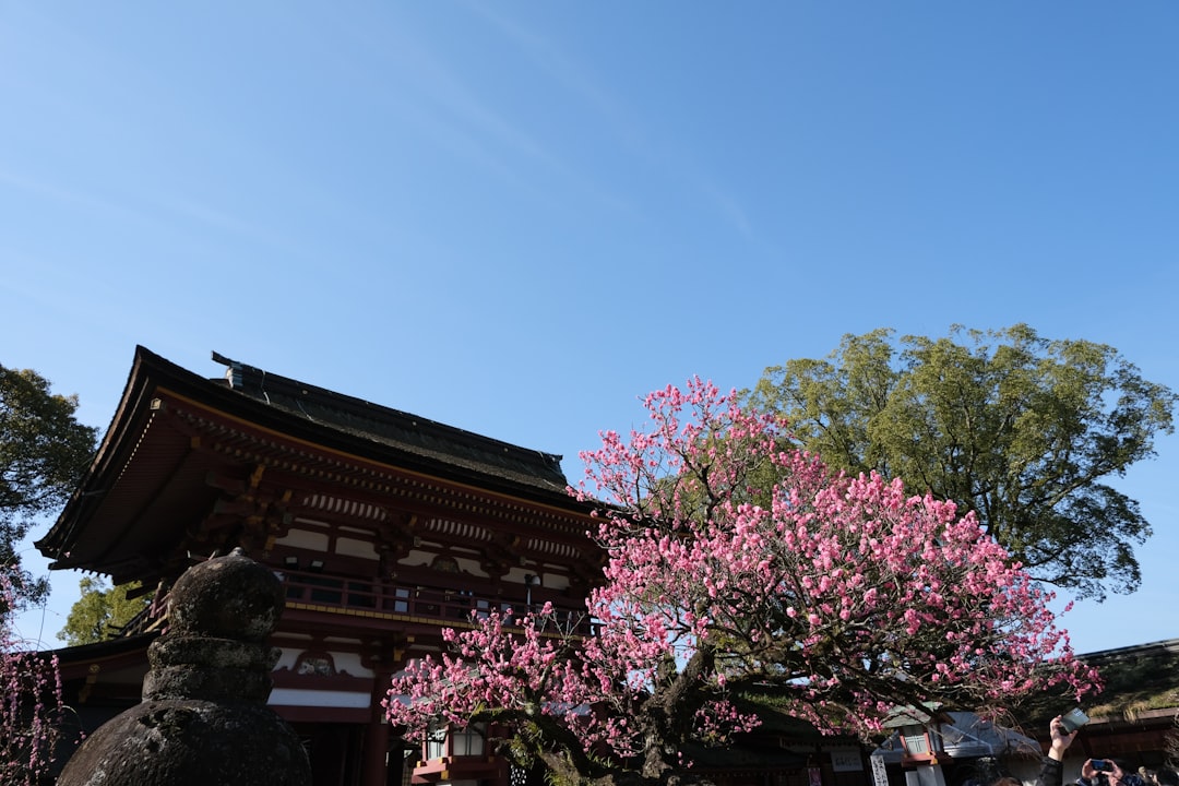 Entdeckung des Atsuta-Schreins: ein Schatz von Nagoya - Nagoya | Secret World Trip Planner