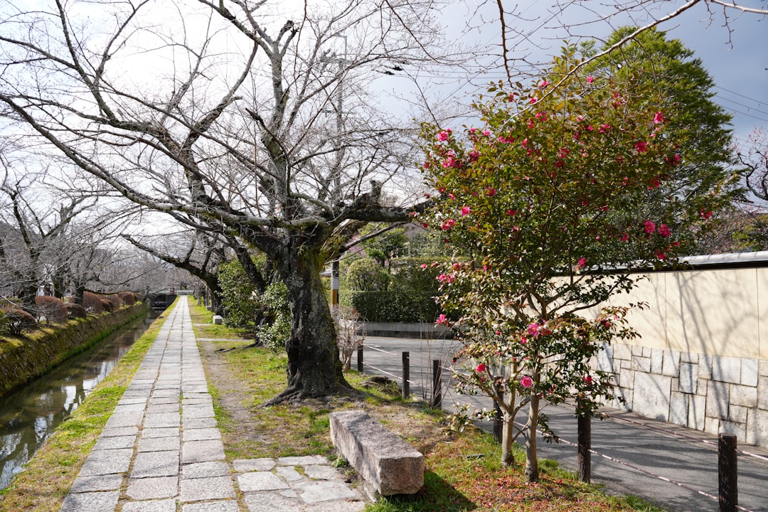 Discover the Philosopher's Path in Kyoto: A Journey into Nature - Kyoto | Secret World Trip Planner