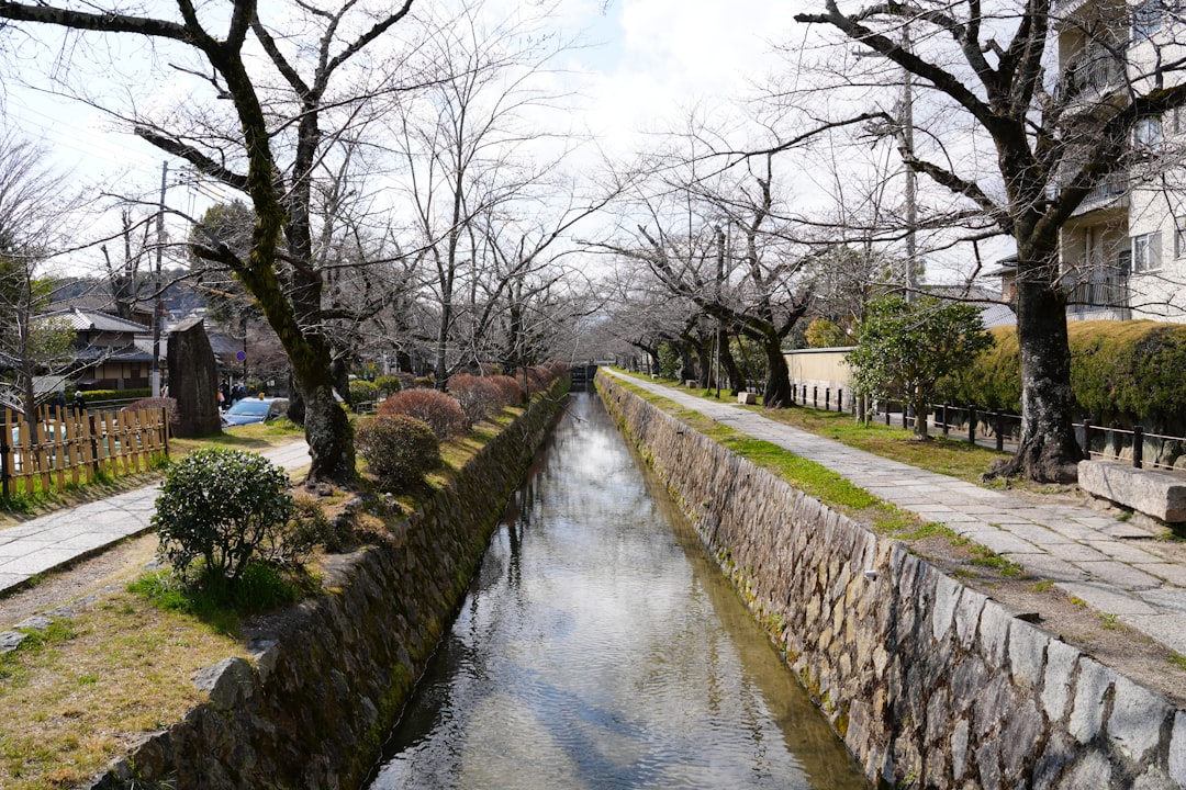 Entdecken Sie den Philosophenweg in Kyoto: Eine Reise in die Natur - Kyoto | Secret World Trip Planner