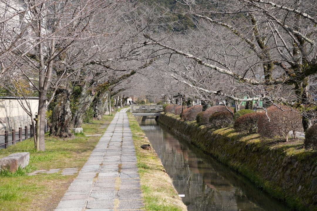 探索京都的哲学家小径：自然之旅 - Kyoto | Secret World Trip Planner