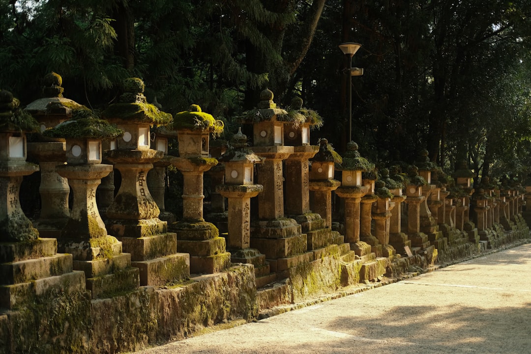 Kasuga Grand Shrine: A Cultural Treasure in Nara - Nara | Secret World Trip Planner
