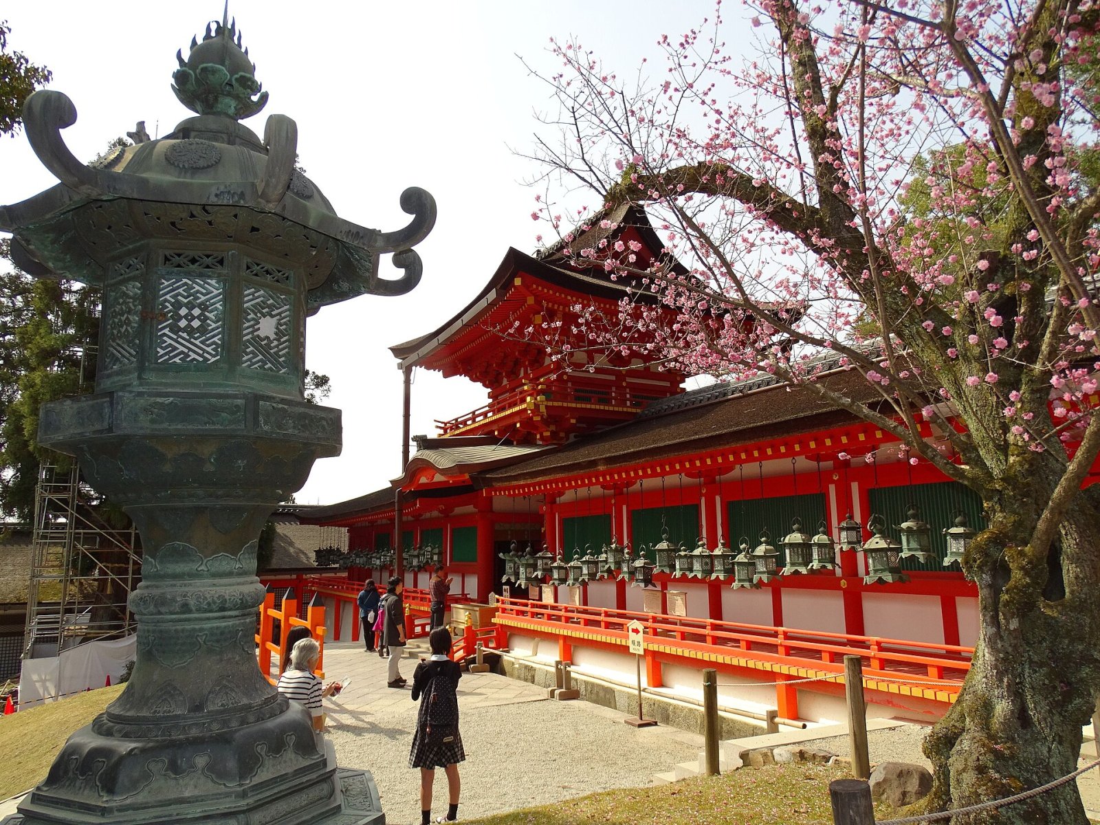 Kasuga Grand Shrine : un trésor culturel à Nara - Nara | Secret World Trip Planner
