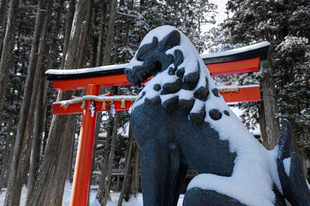 探索高野山：日本的精神之心 - Koya | Secret World Trip Planner