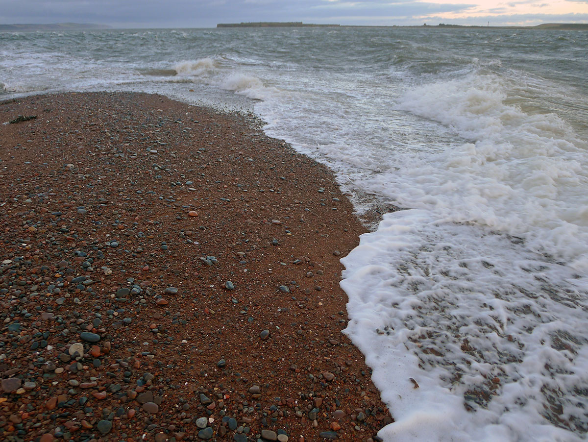 Chanonry Point : Un Paradis pour les Amoureux de la Nature en Écosse - Highland Council | Secret World Trip Planner