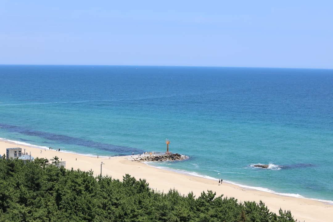 Jeongdongjin Beach: 韓国の楽園の隅 - Gangneung | Secret World Trip Planner