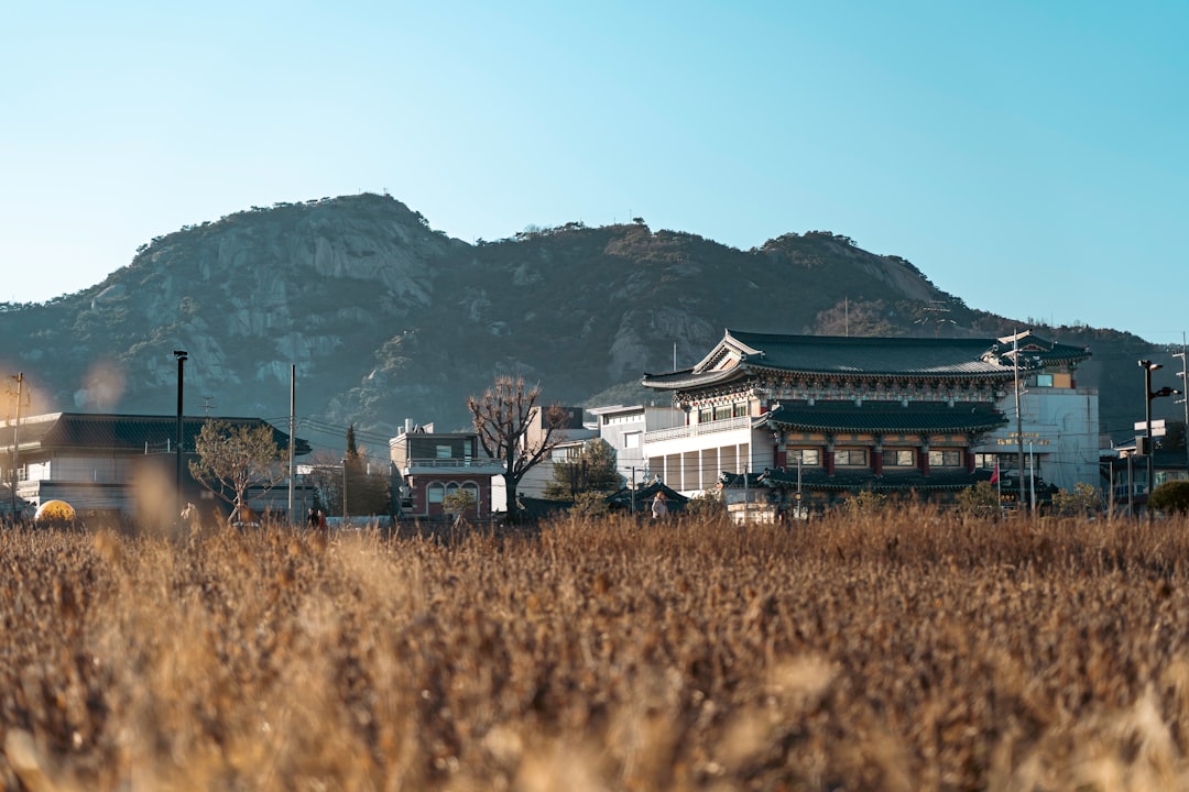 평창의 대관령 양떼목장을 발견하세요 - Pyeongchang-gun | Secret World Trip Planner