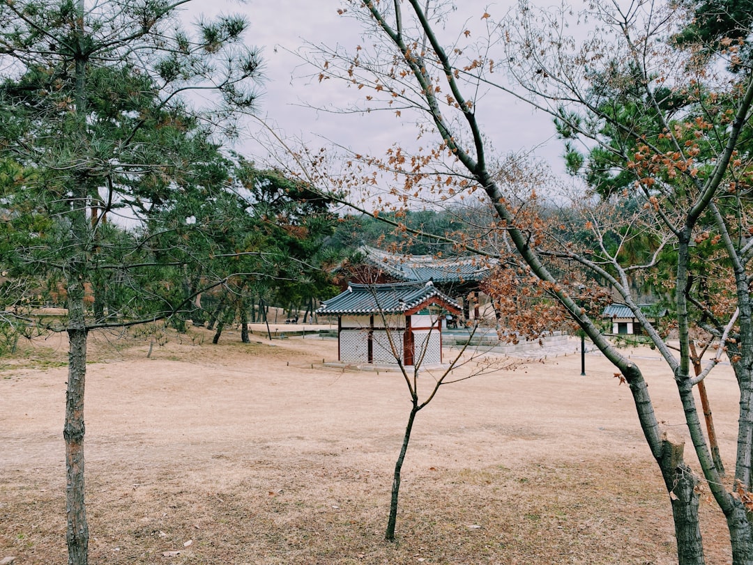 Lago Chungju: um refúgio natural na Coreia do Sul - Chungju-si | Secret World Trip Planner