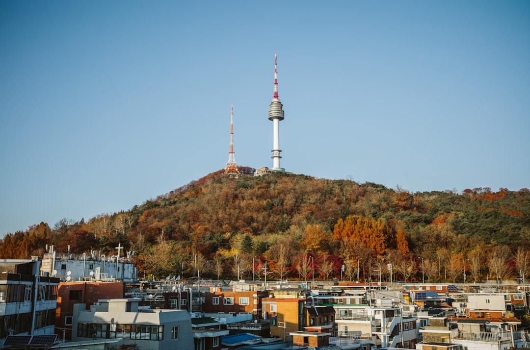 Namsan Seoul Tower: An Icon of Seoul Not to Miss - Yongsan District | Secret World Trip Planner