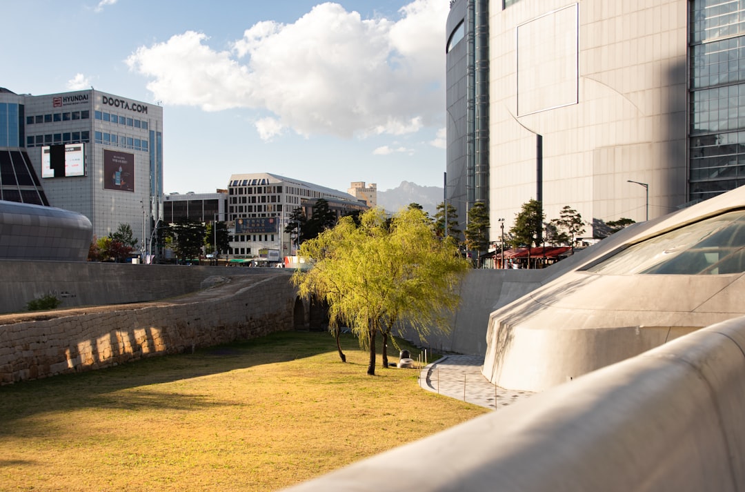 Exploring Dongdaemun Design Plaza: A Gem of Seoul - Jung District | Secret World Trip Planner