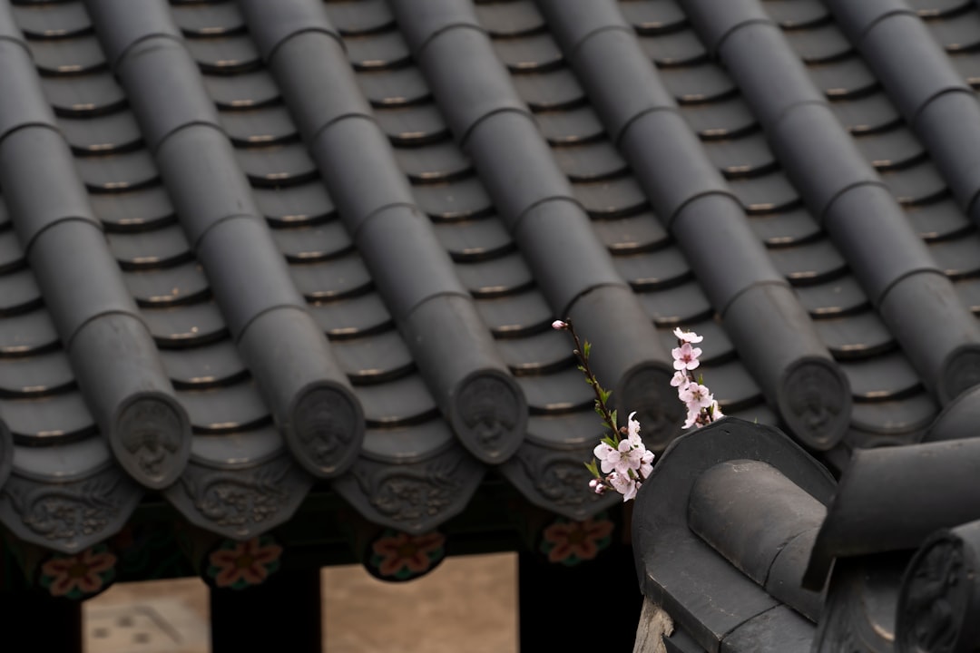 Scopri il Palazzo Gyeonghuigung: Storia e Bellezza di Seoul - Jongno District | Secret World Trip Planner