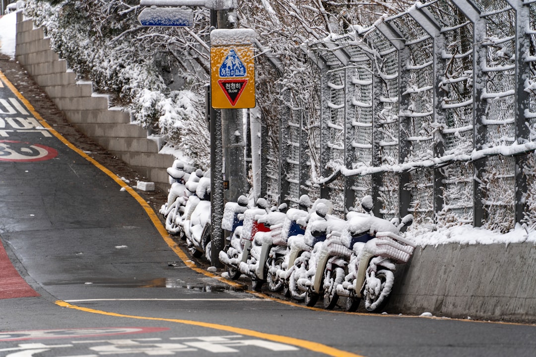 Scopri la Storia della Seoul City Wall: Un Viaggio nel Passato - Seongbuk District | Secret World Trip Planner