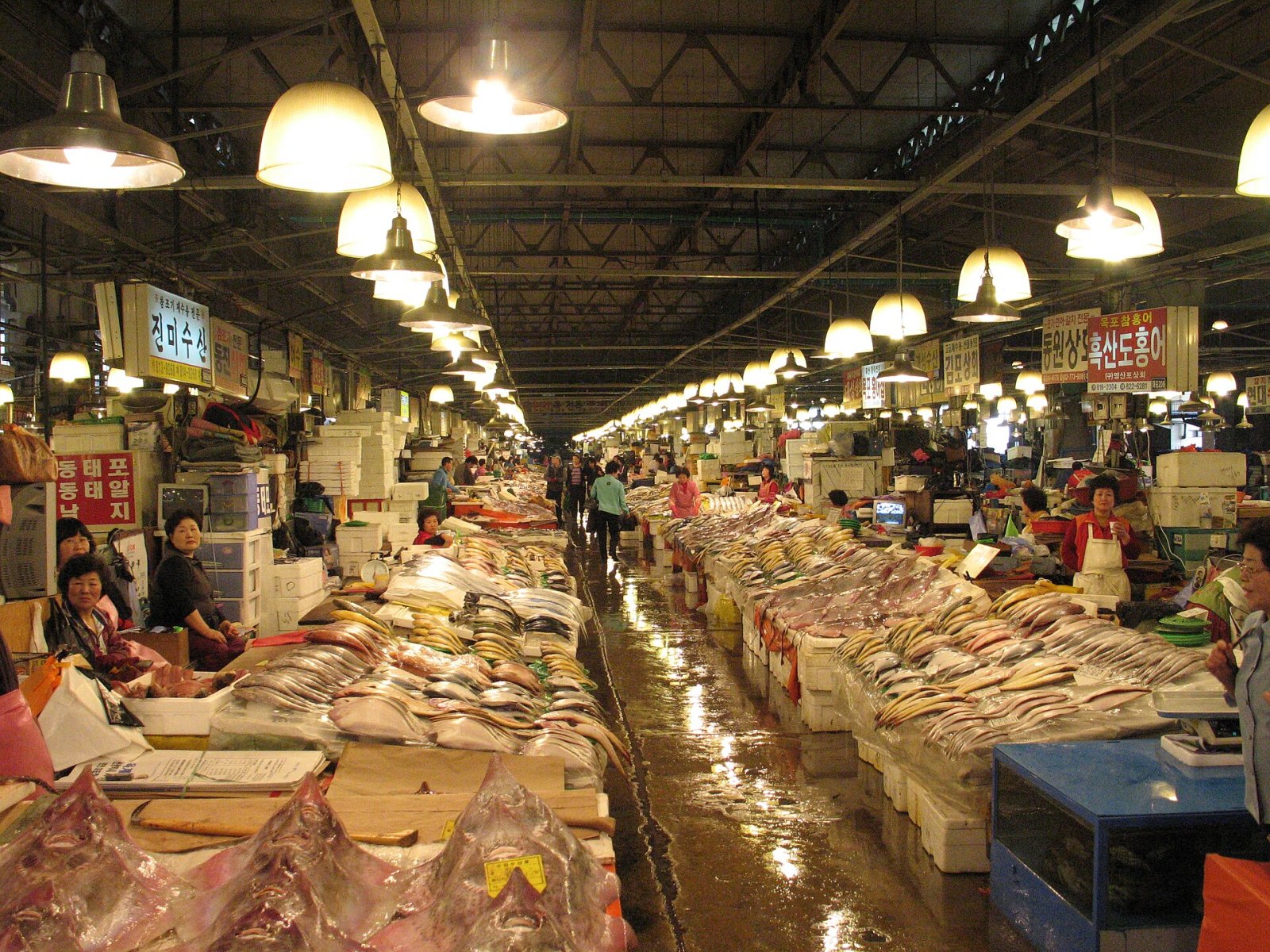 Noryangjin Fish Market: A Journey Through the Flavors of Seoul - Dongjak District | Secret World Trip Planner