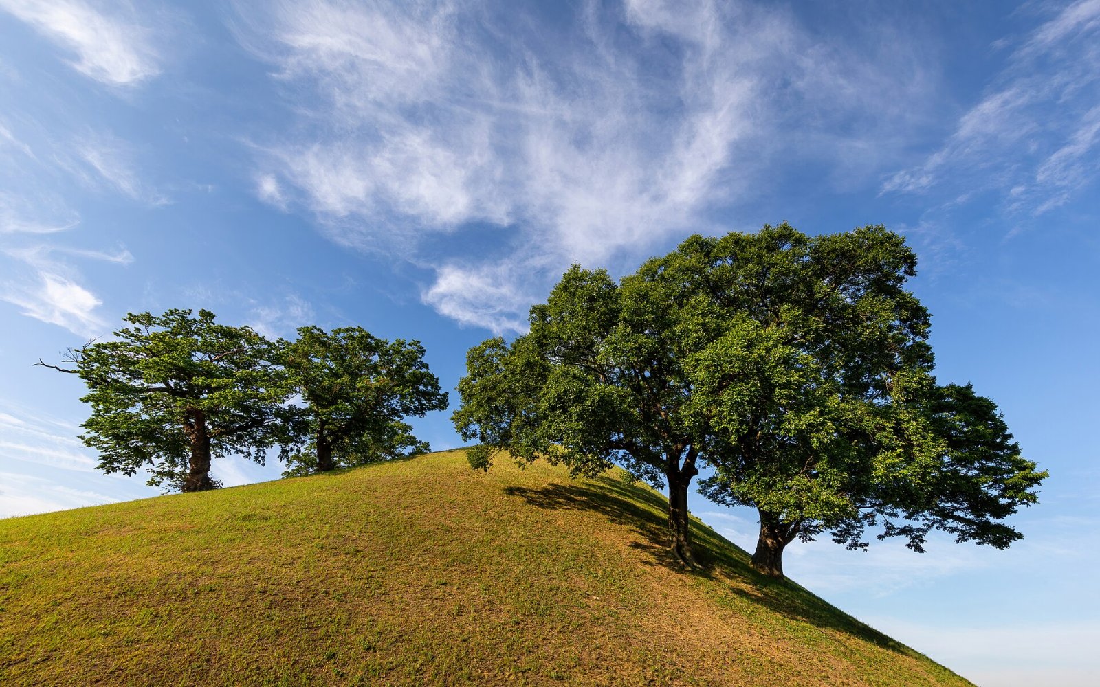 Scopri il Tumuli Park di Gyeongju: un viaggio nella storia coreana - Gyeongju | Secret World Trip Planner