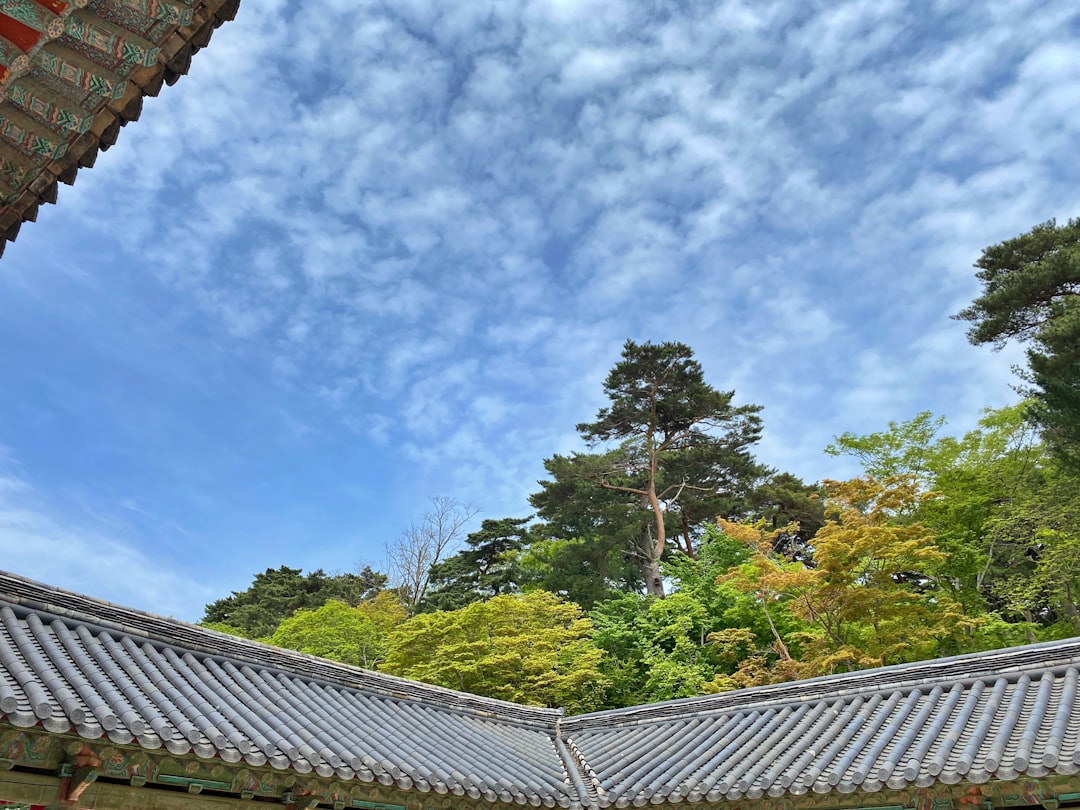 Gyeongju: A Journey Through Korea's History - Gyeongju | Secret World Trip Planner