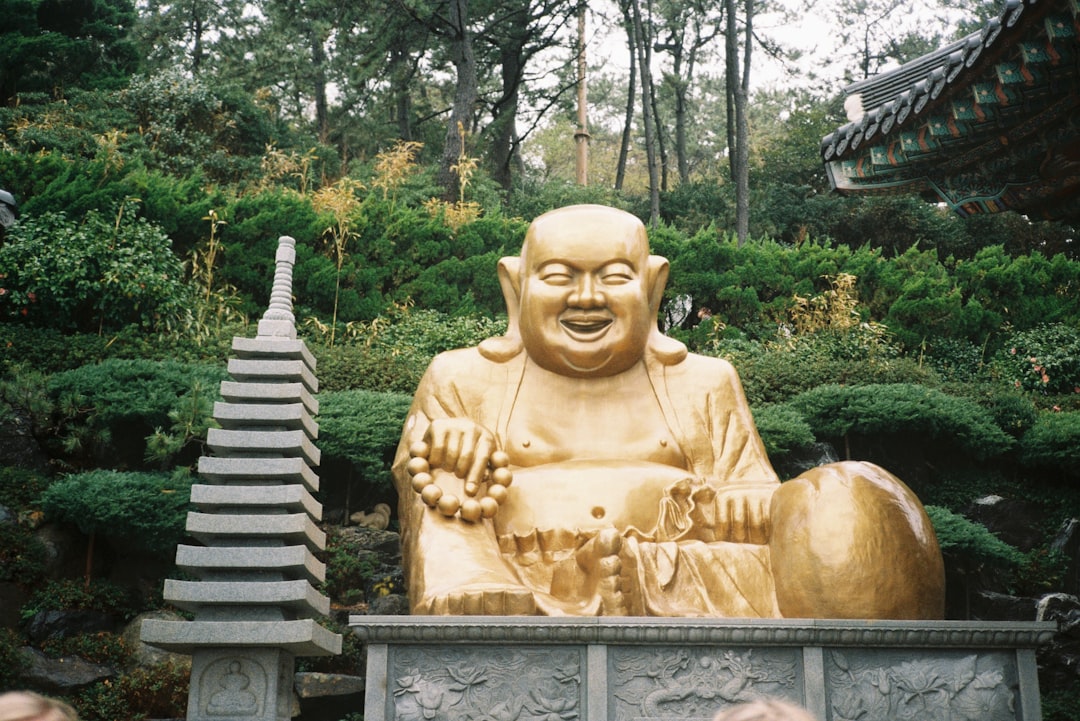 Visit the UN Memorial Cemetery in Busan - Nam-gu | Secret World Trip Planner