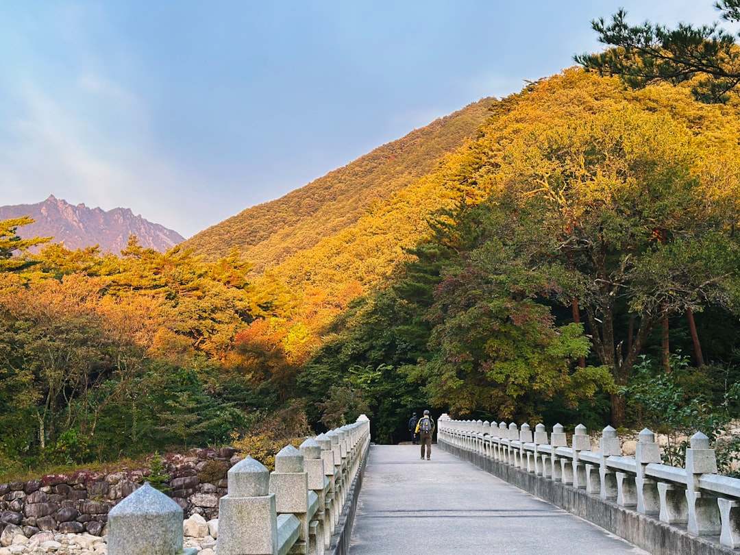 Parque Nacional de Seoraksan: un paraíso natural en Corea del Sur - 강원 속초시 설악동 | Secret World Trip Planner