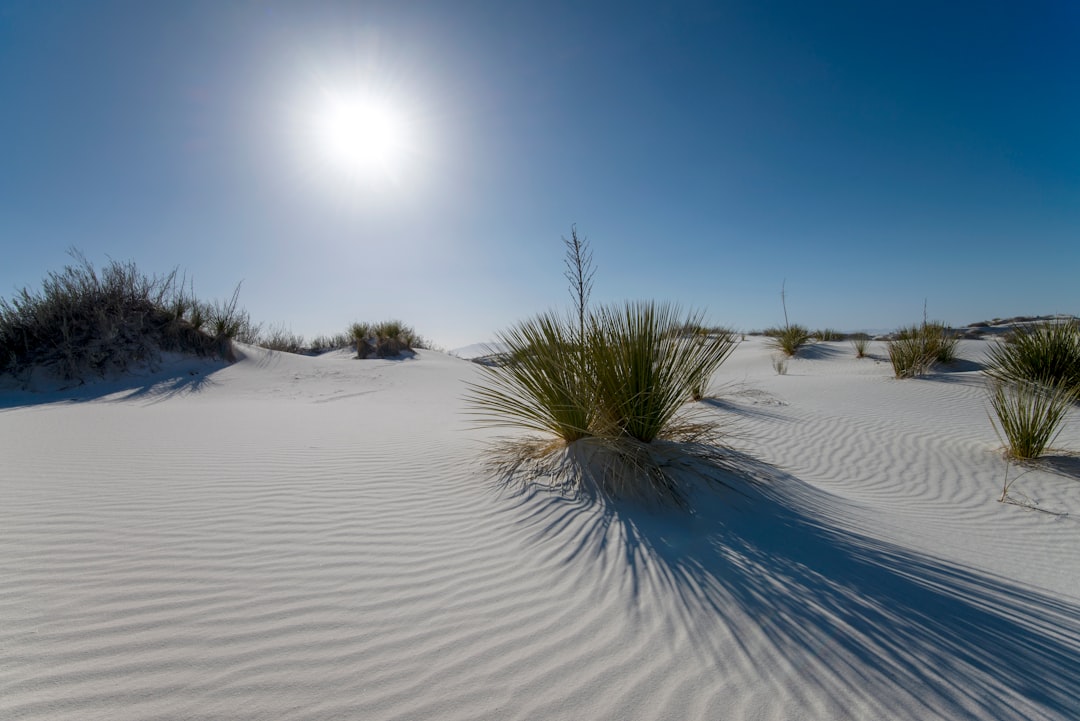 Descubre la magia del Parque Nacional White Sands en Nuevo México - Hanzhong | Secret World Trip Planner