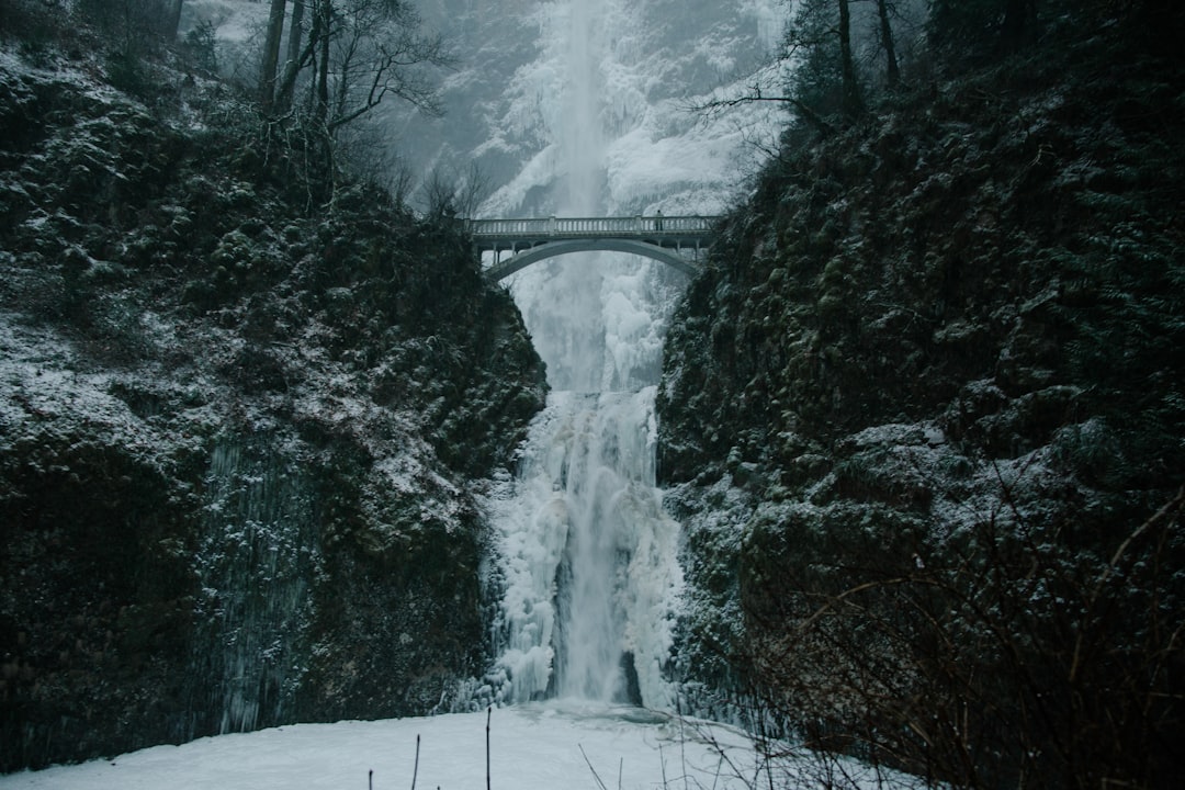 Découvrez la Columbia River Gorge : Nature et Aventure à Hood River - Hinggan League | Secret World Trip Planner