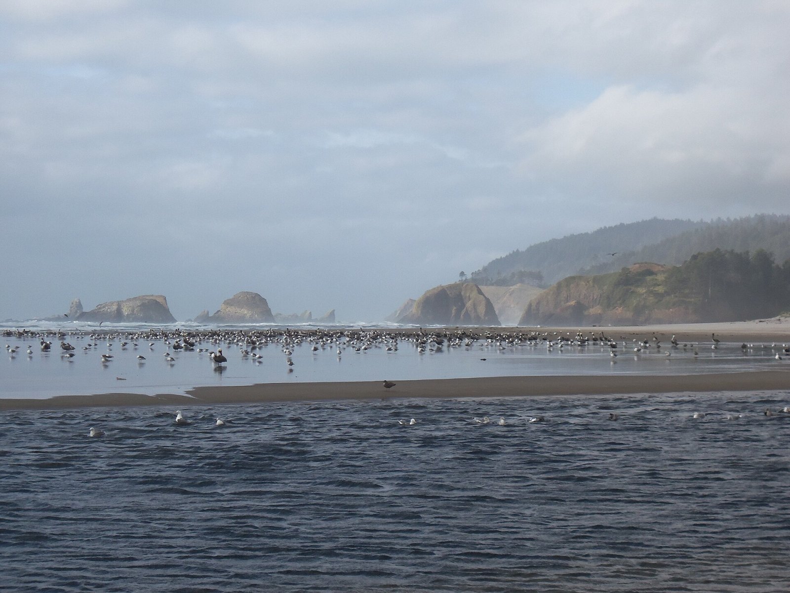Cannon Beach : Un coin de paradis dans la nature de l'Oregon | Secret World Trip Planner