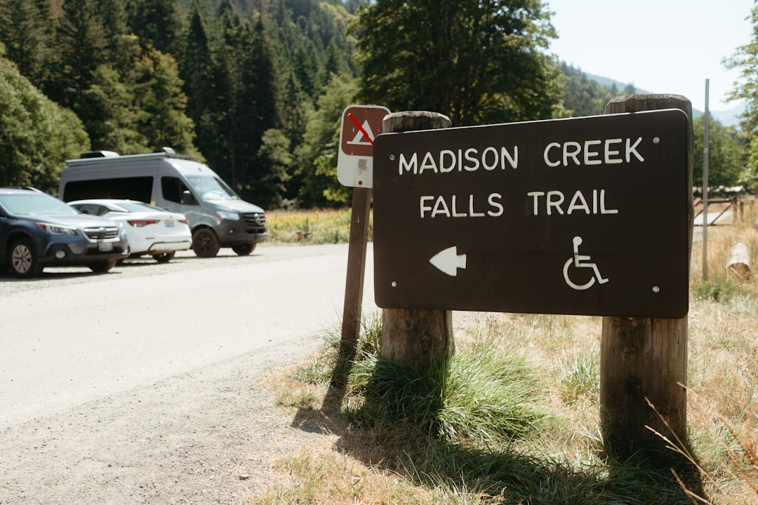 Descubra a Magia da Floresta Tropical de Hoh em Forks, Washington | Secret World Trip Planner