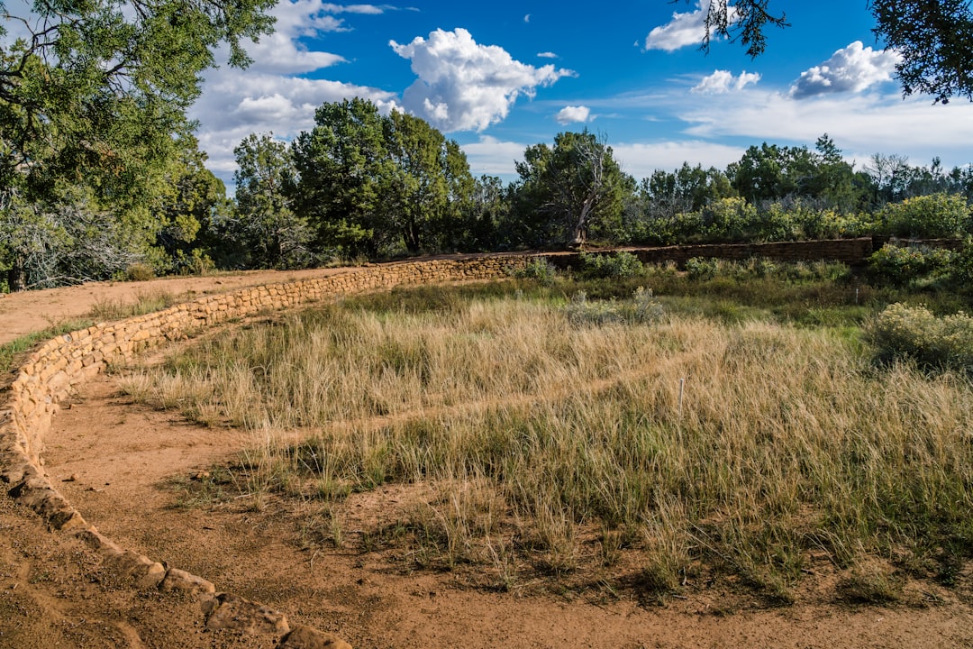 Exploring Mesa Verde National Park: A Journey Through History - Yulin | Secret World Trip Planner