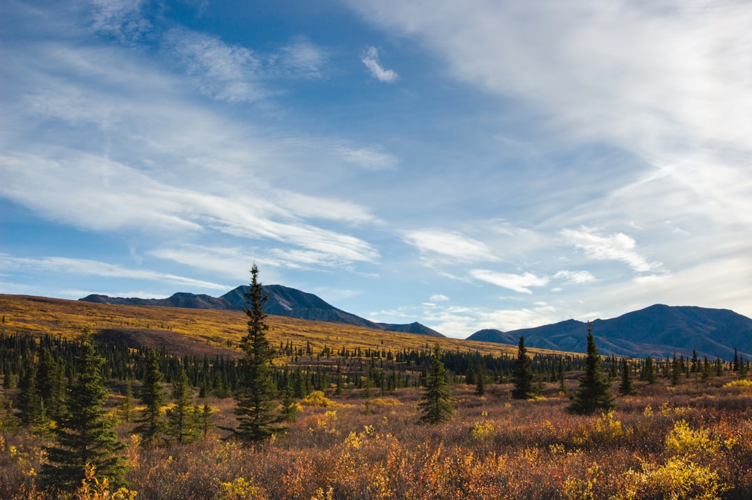 Esplora la bellezza selvaggia del Denali National Park | Secret World Trip Planner