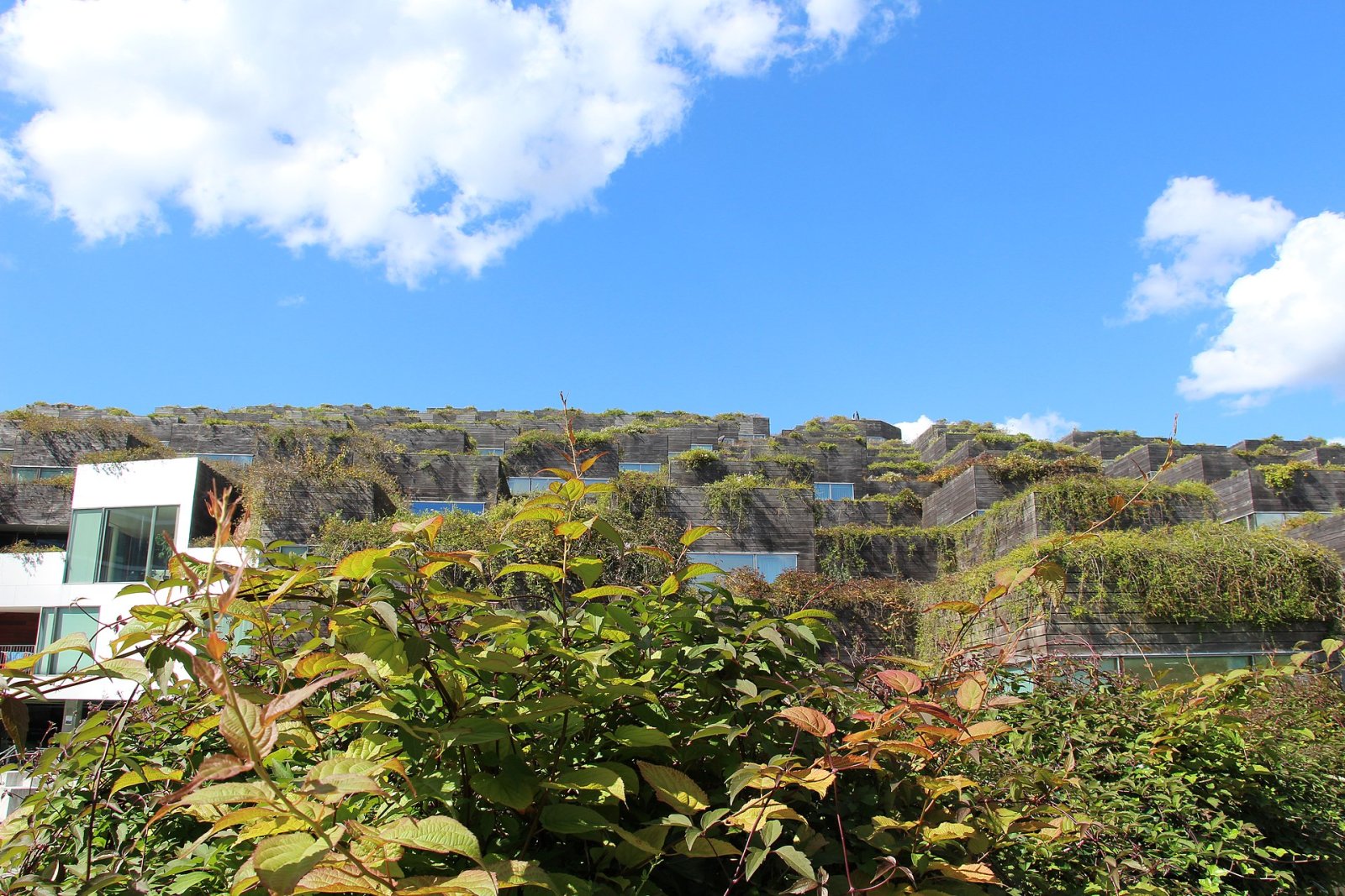 코펜하겐에서 독특한 건축 경험, Bjerget를 발견하세요 - Sdr Kystagervej 4 | Secret World Trip Planner