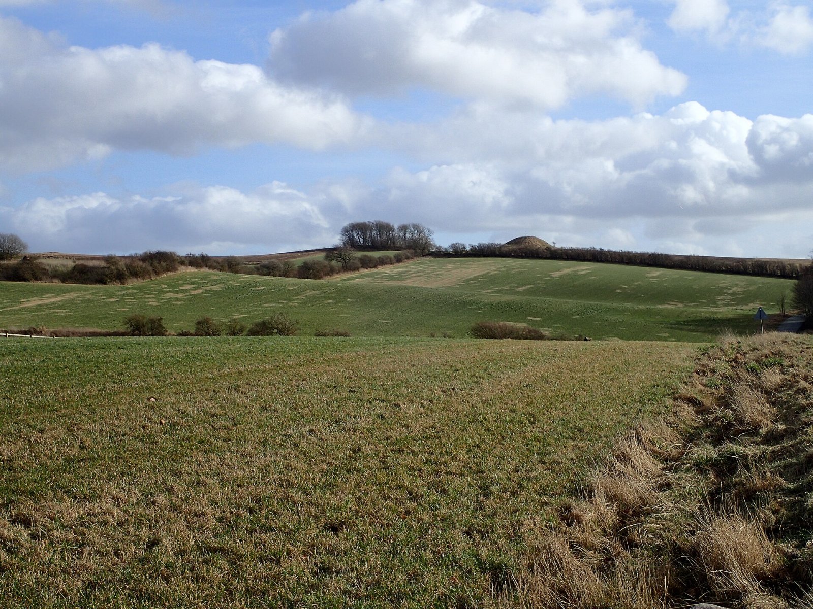 젤쇼이: 덴마크의 고고학적 보물 - Jelshøjvej 50 | Secret World Trip Planner