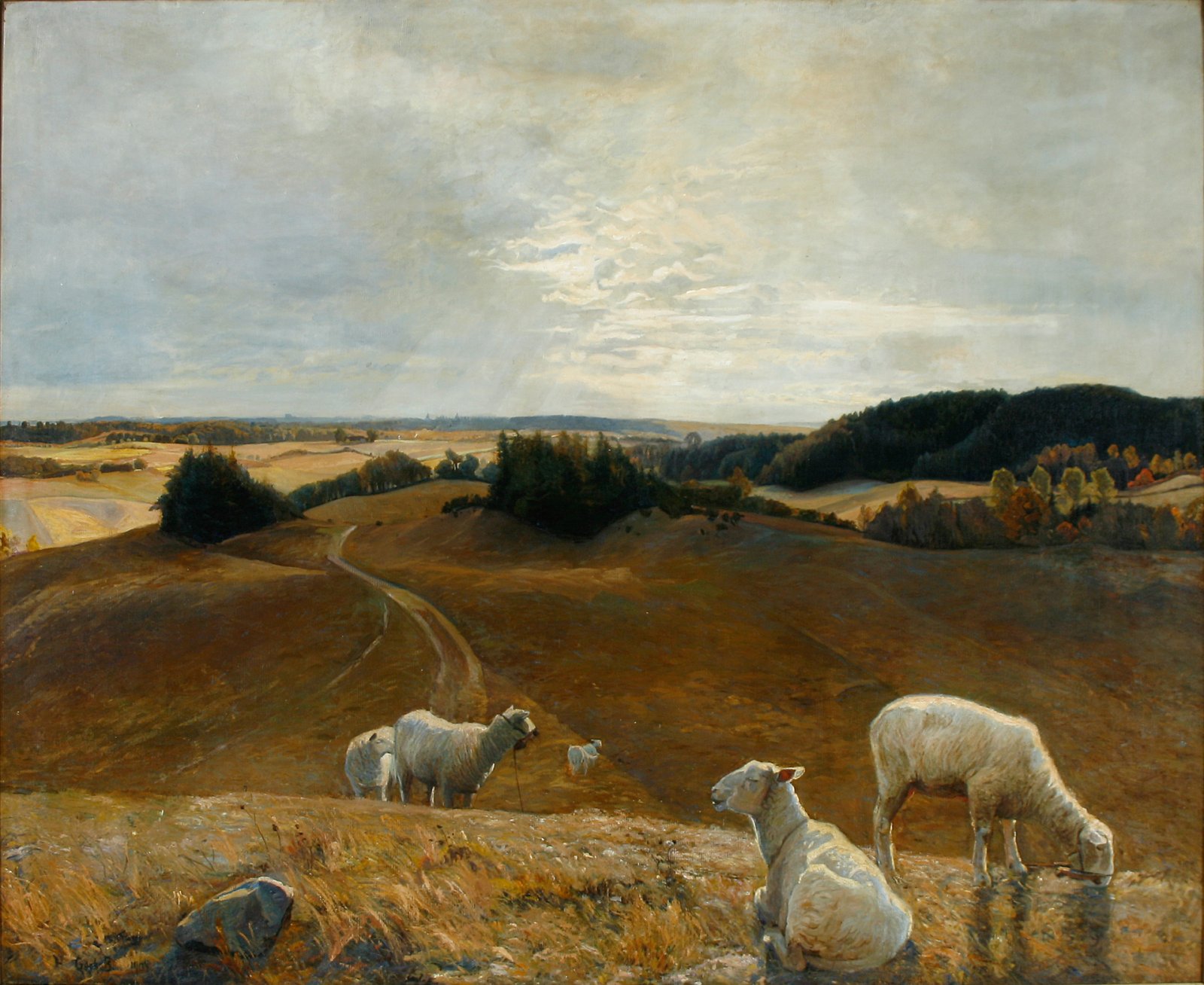 Découvrir Høje Sandbjerg : Un Coin de Nature au Danemark - RFRW+V9 Holte | Secret World Trip Planner