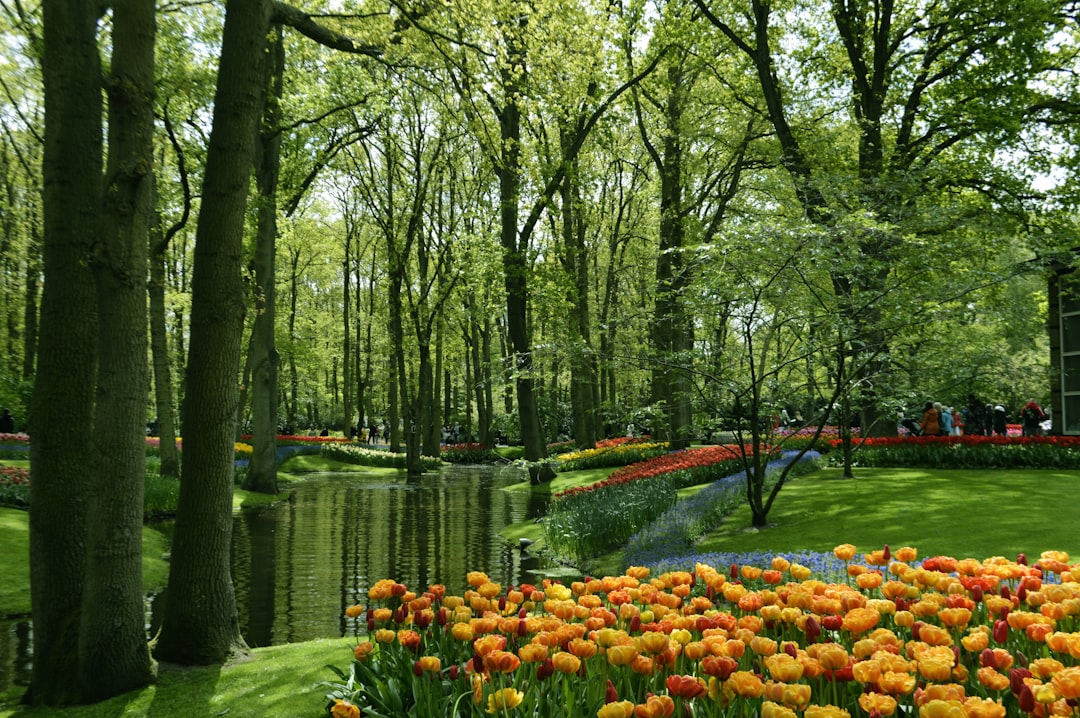Keukenhof: Il Giardino dei Fiori più Grande del Mondo - Stationsweg 166A | Secret World Trip Planner