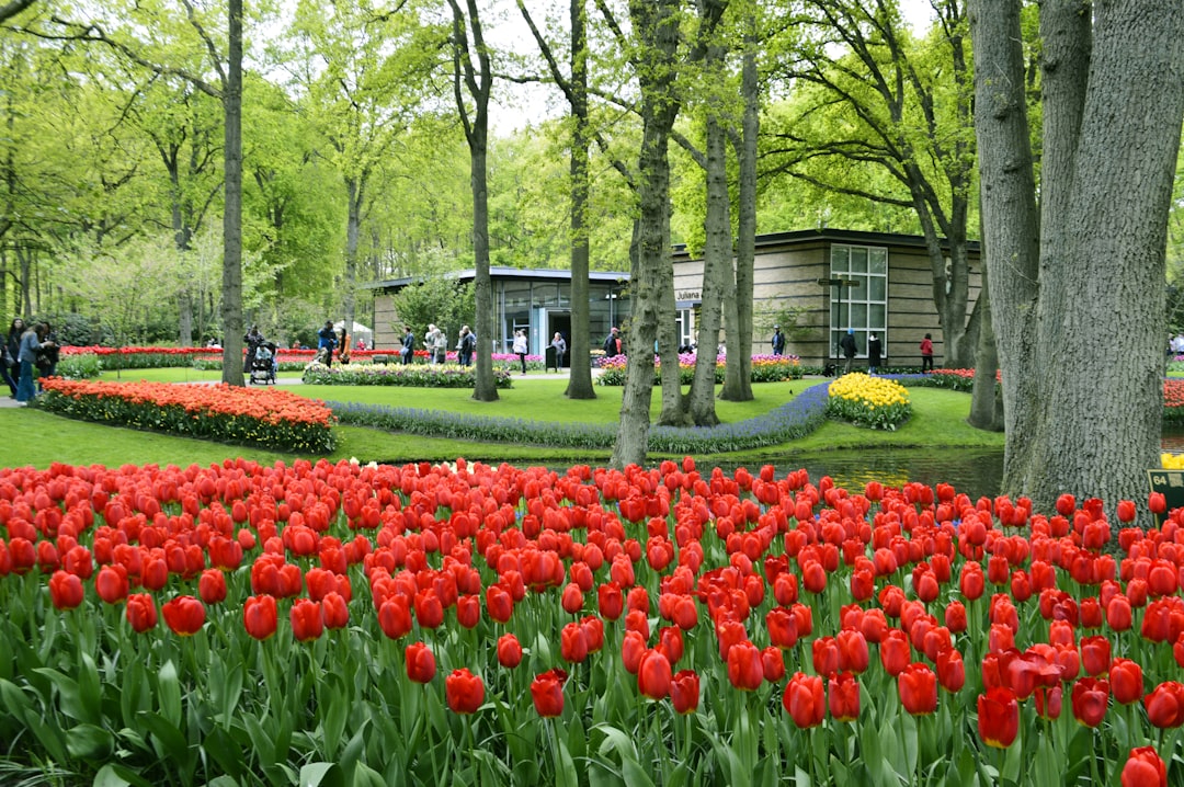 Keukenhof: El Jardín de Flores Más Grande del Mundo - Stationsweg 166A | Secret World Trip Planner
