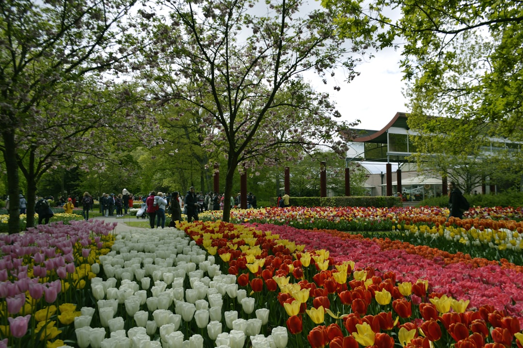 Keukenhof: O Maior Jardim de Flores do Mundo - Stationsweg 166A | Secret World Trip Planner
