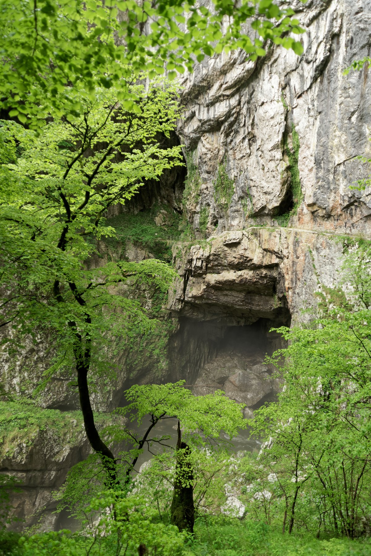 Grotte di San Canziano: un viaggio nel mondo sotterraneo - Matavun 12 | Secret World Trip Planner