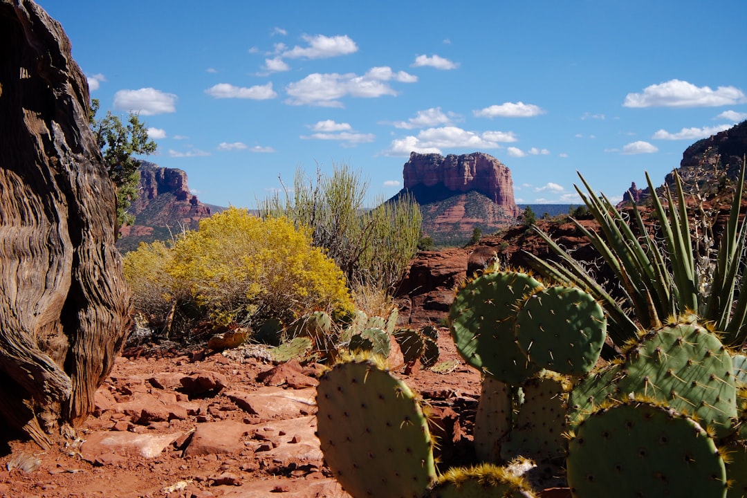 Entdecken Sie die Magie der Sedona Red Rocks in Arizona - Sanmenxia | Secret World Trip Planner