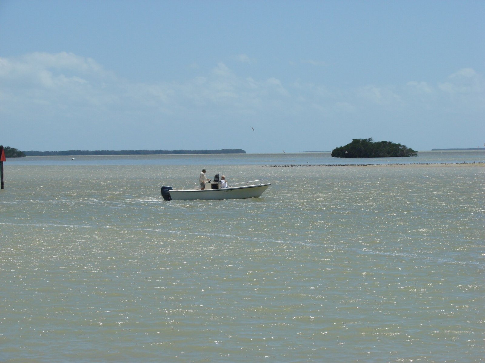Scopri le meraviglie dell'Everglades National Park in Florida — Shitalpur Kaunhas