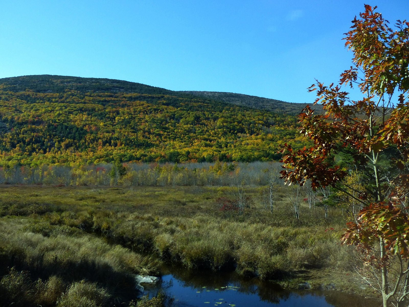 Descubra a beleza natural do Parque Nacional de Acadia | Secret World Trip Planner