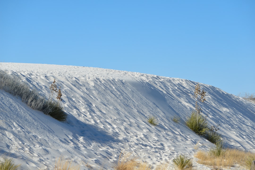 Explorez les merveilles naturelles des Sleeping Bear Dunes | Secret World Trip Planner