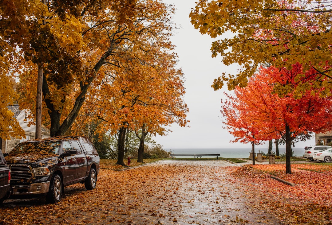 Scopri Door County: Un Angolo Incantato del Wisconsin | Secret World Trip Planner