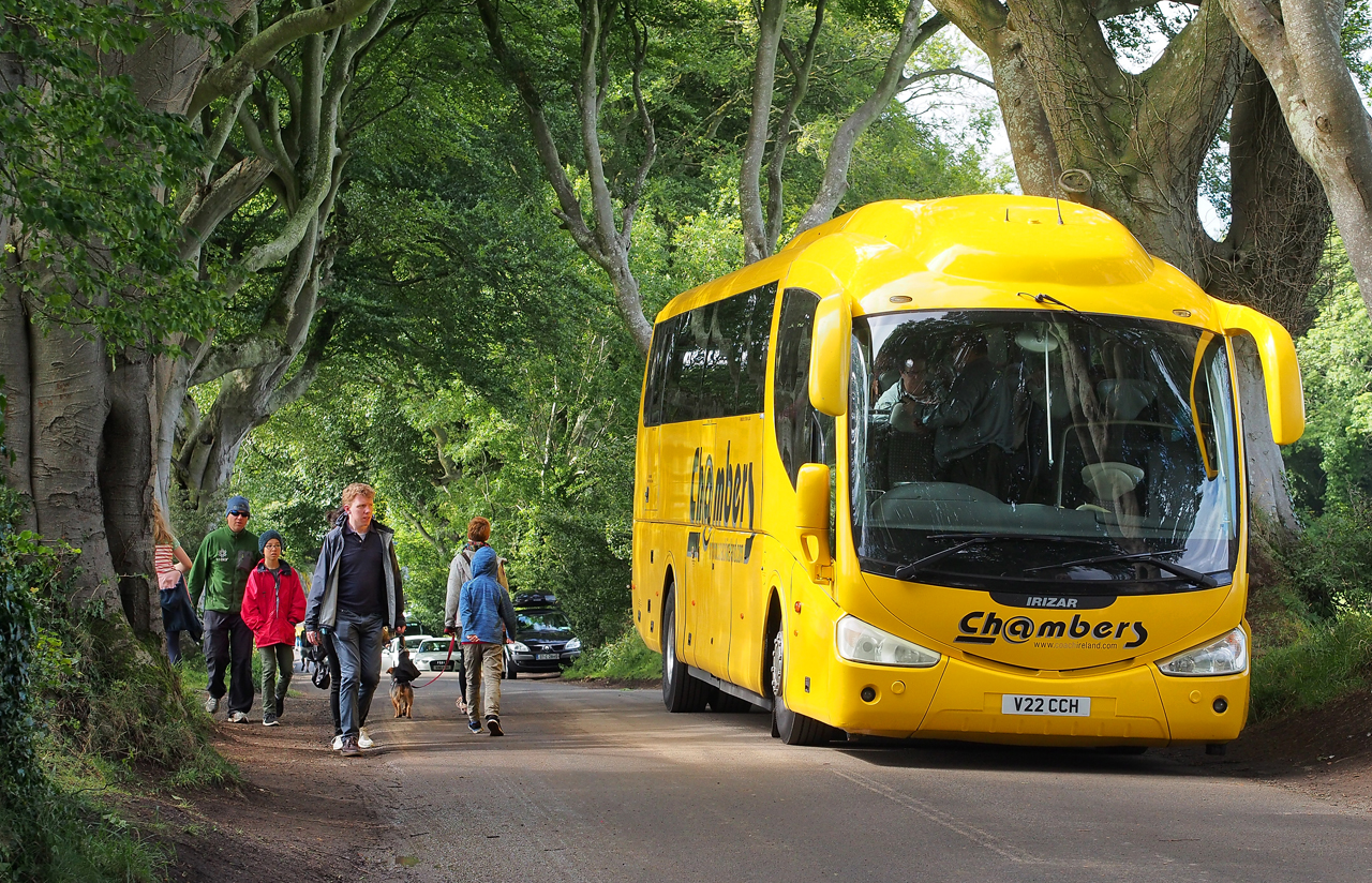 Descubra Dark Hedges: a estrada encantada da Irlanda do Norte | Secret World Trip Planner